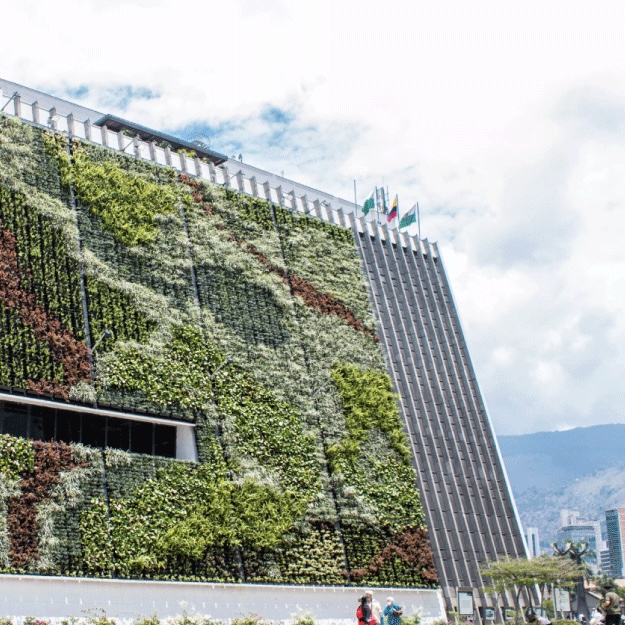 Muros Verdes