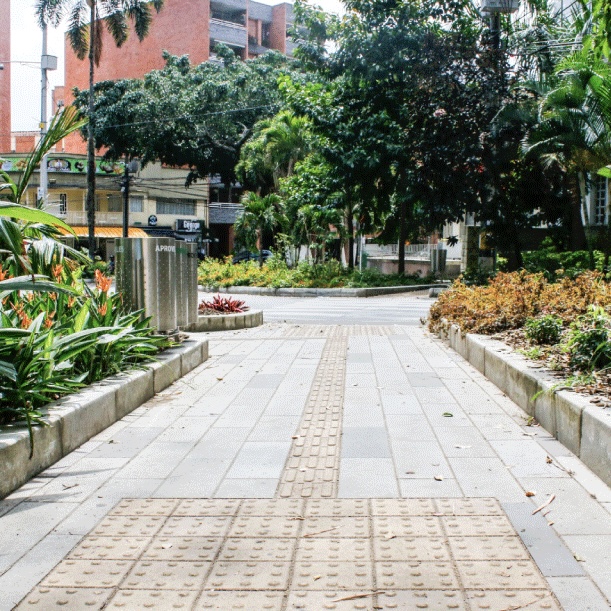 Avenida Jardín