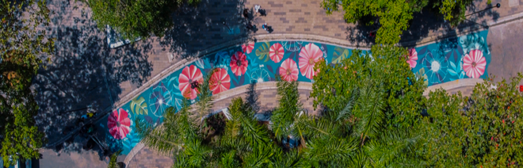 Arte y color en el Parque Lleras