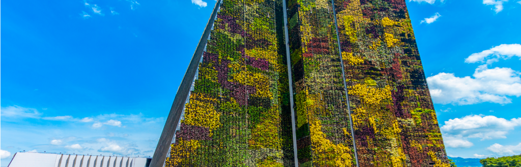 Muro verde